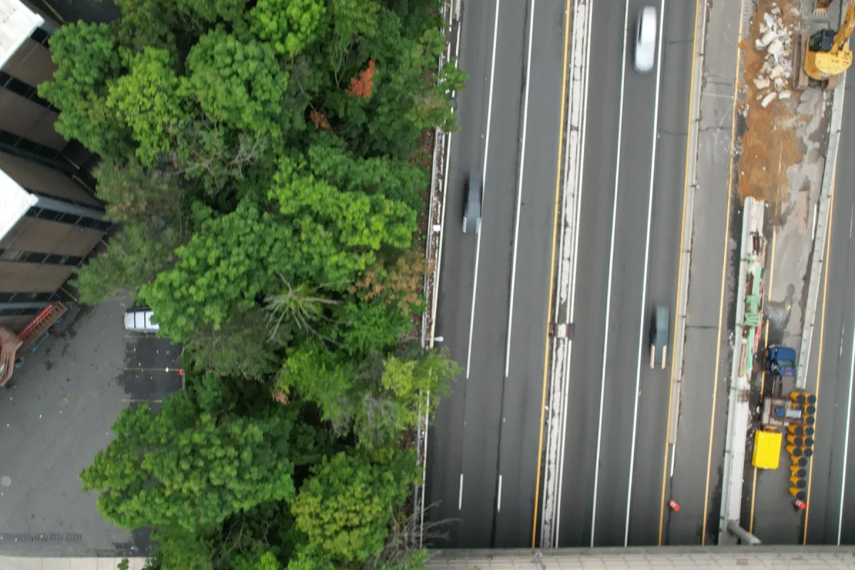 Bridge over a multilane highway, work vehicles and tree canopy in daylight